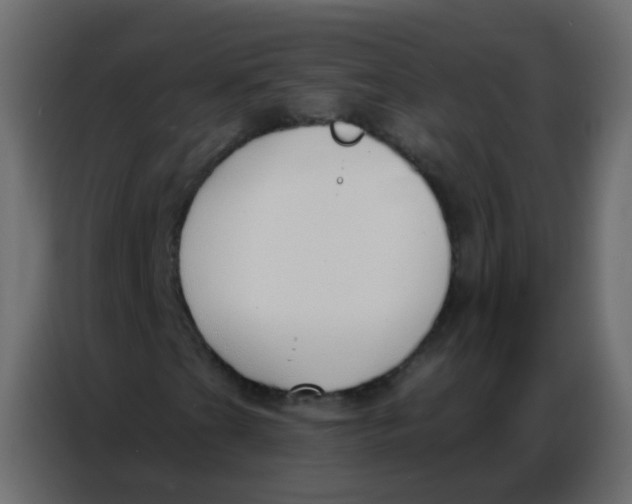 X0000086801201200705041601