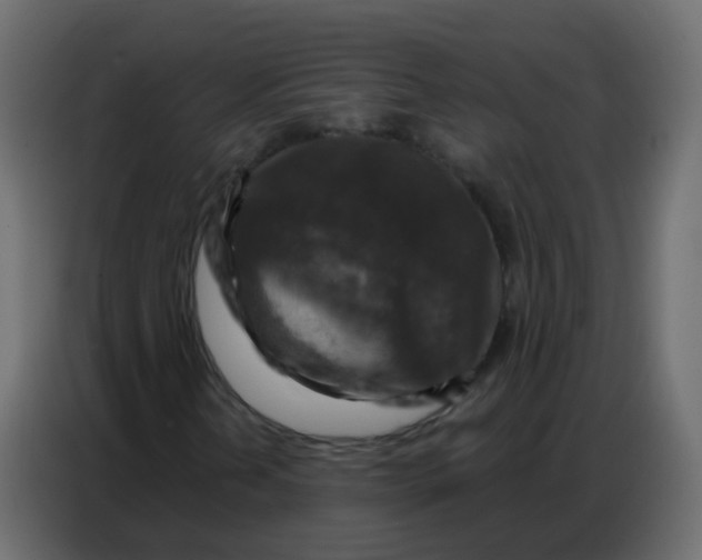 X0000086801202200705041601