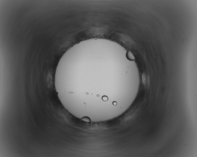 X0000086801203200705041601