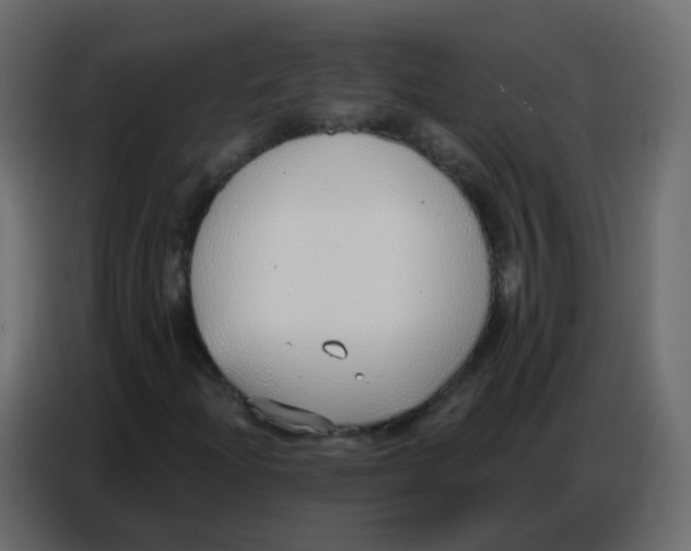 X0000086801204200705041601