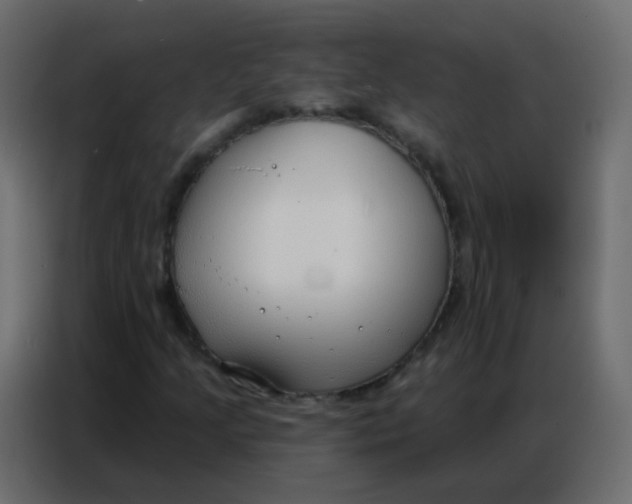 X0000086801205200705041601