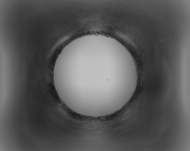 X0000086801207200705041601