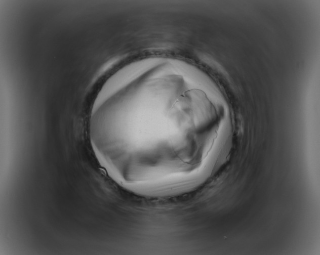 X0000086801208200705041601