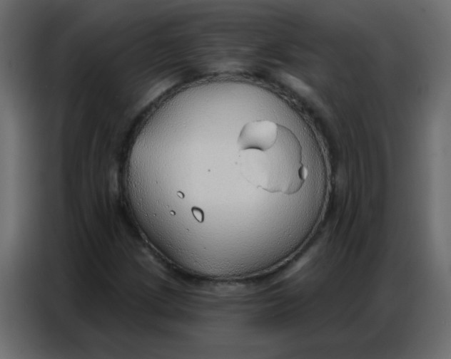 X0000086801209200705041601