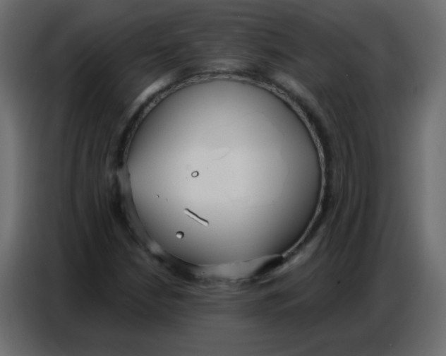 X0000086801210200705041601