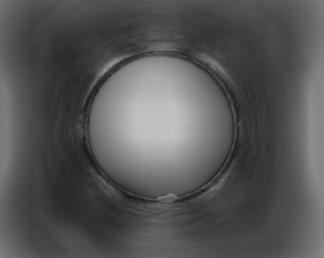 X0000086801212200705041601