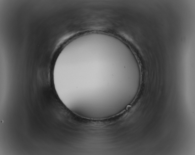 X0000086801214200705041601