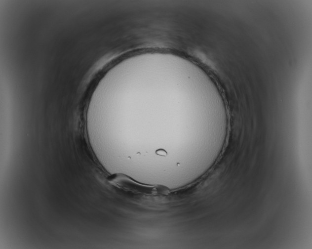 X0000086801215200705041601