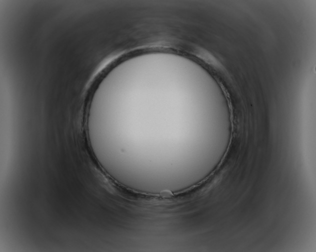 X0000086801216200705041601