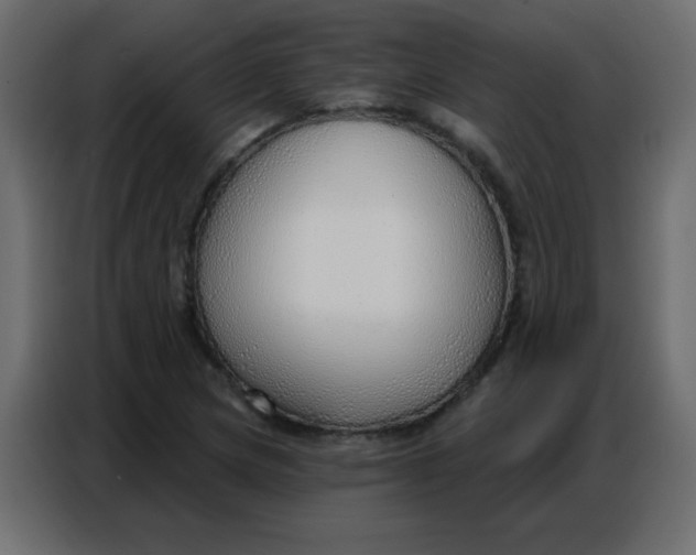 X0000086801217200705041601