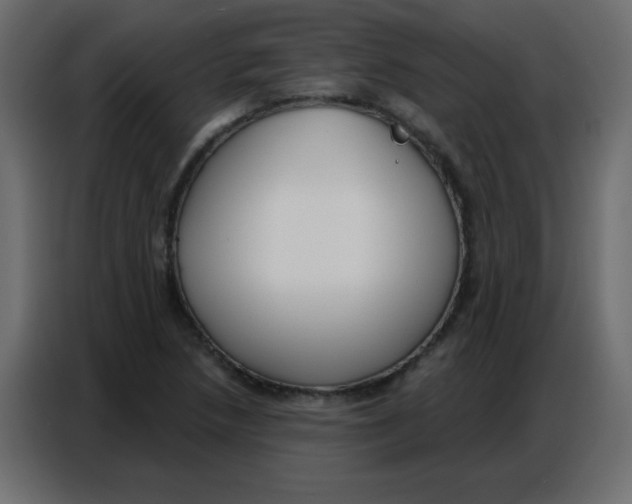 X0000086801218200705041601