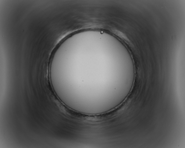 X0000086801220200705041601