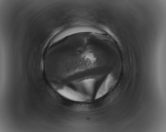 X0000086801221200705041601