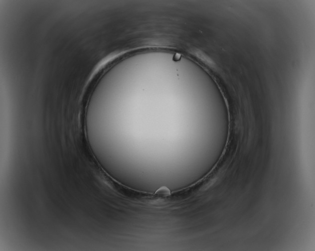 X0000086801222200705041601