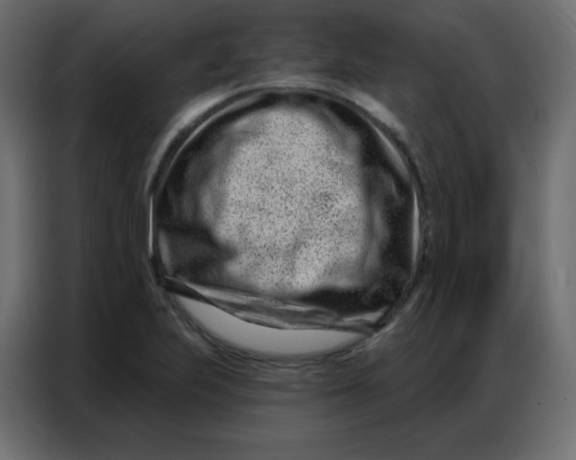 X0000086801223200705041602