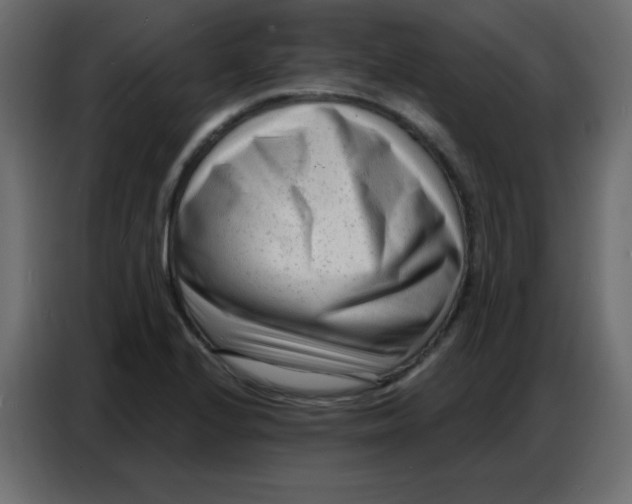 X0000086801224200705041602