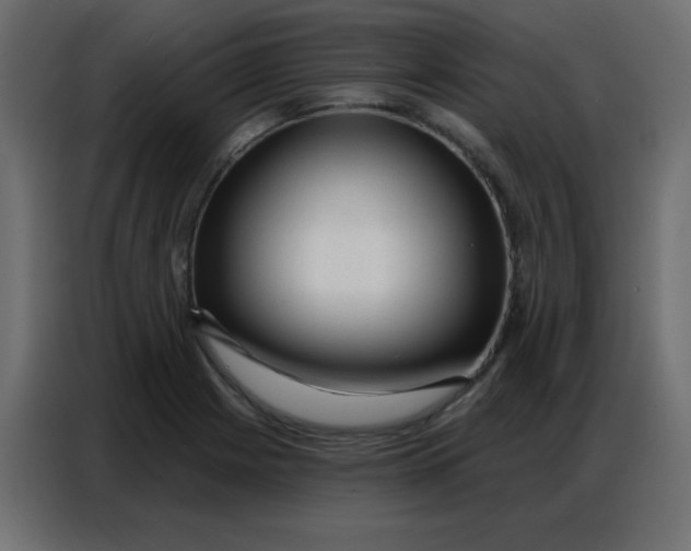 X0000086801225200705041602