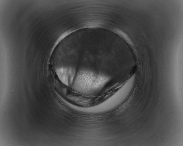 X0000086801226200705041602