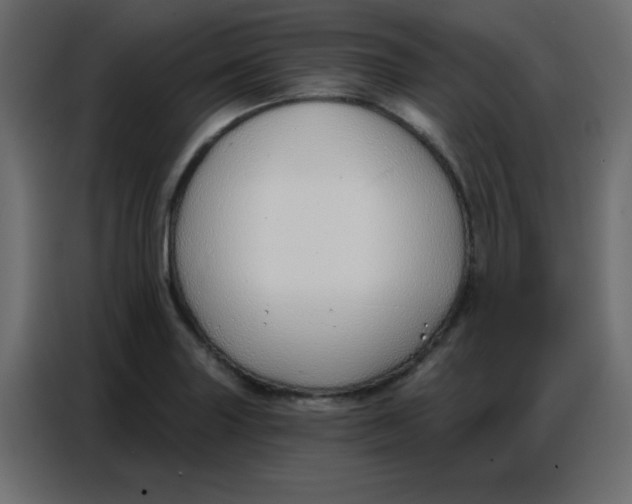 X0000086801227200705041602