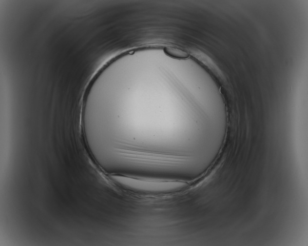 X0000086801228200705041602