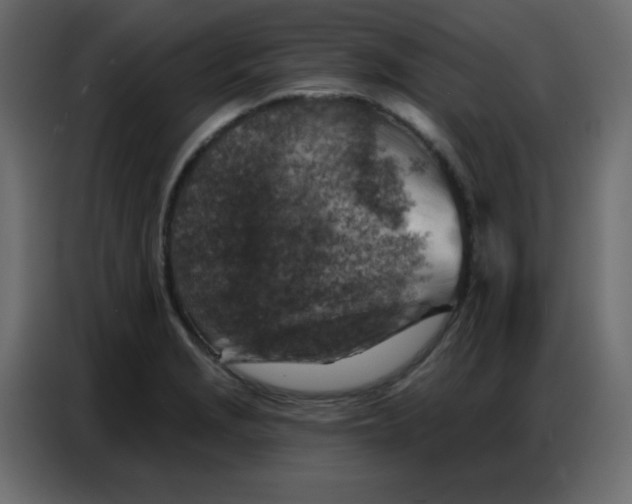 X0000086801229200705041602