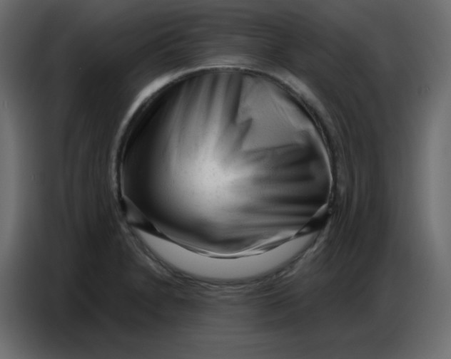 X0000086801230200705041602