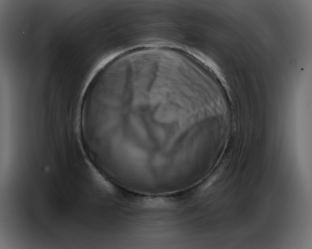 X0000086801231200705041602