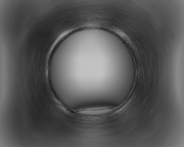 X0000086801232200705041602