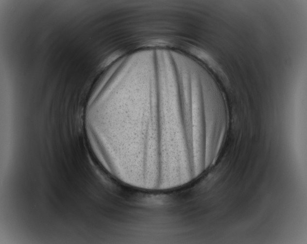 X0000086801233200705041602