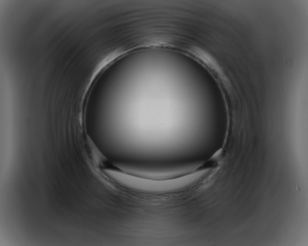 X0000086801234200705041602