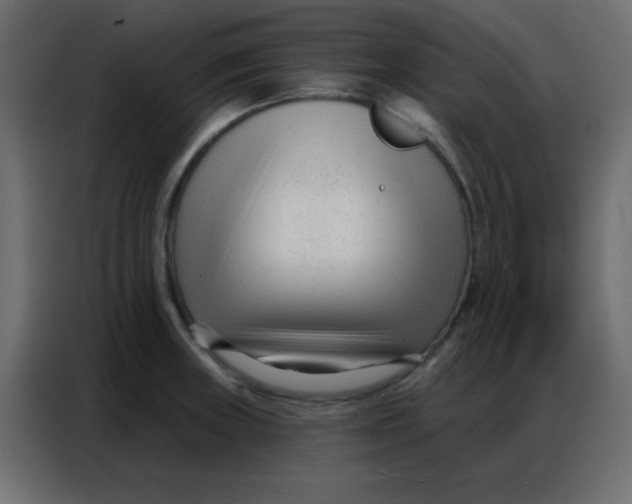 X0000086801235200705041602