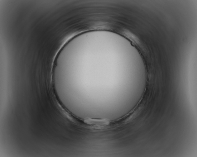 X0000086801236200705041602