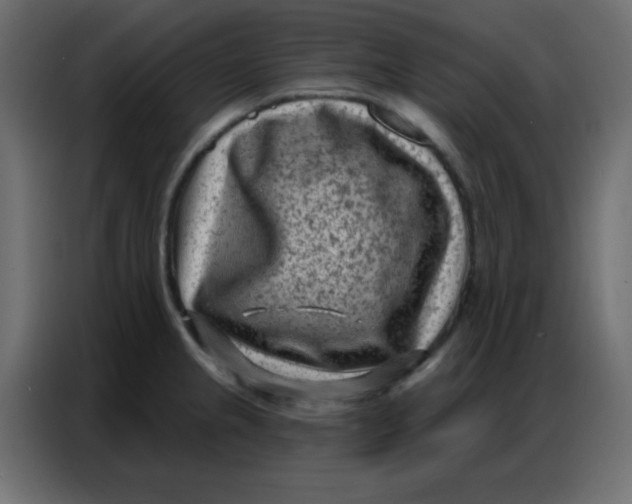 X0000086801237200705041602