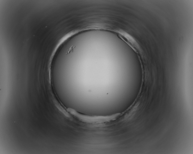 X0000086801238200705041602