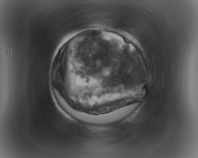 X0000086801239200705041602