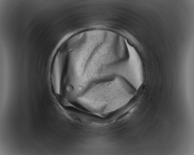 X0000086801240200705041602