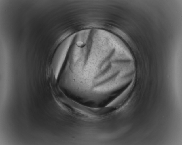 X0000086801241200705041602