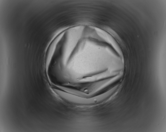 X0000086801244200705041602