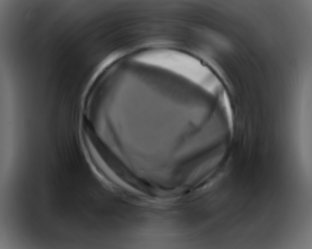 X0000086801245200705041602