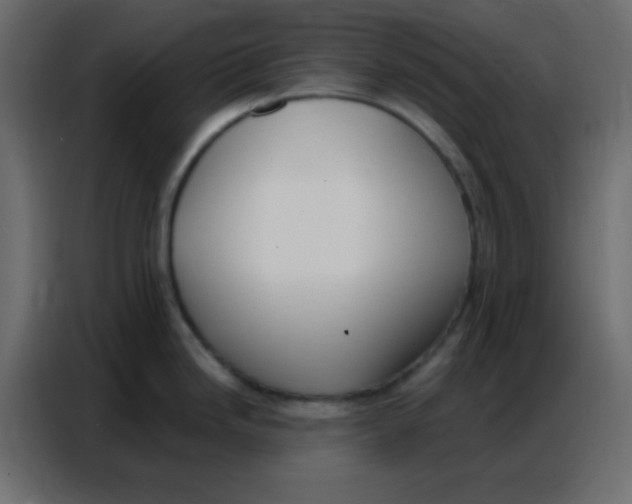 X0000086801246200705041602