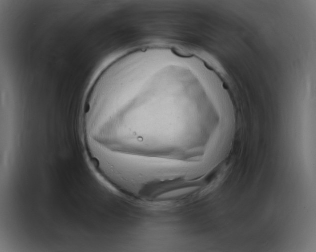 X0000086801247200705041602