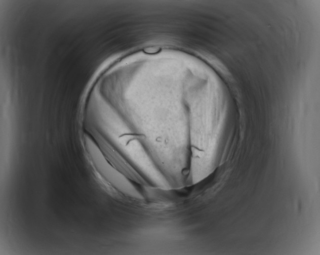 X0000086801248200705041602