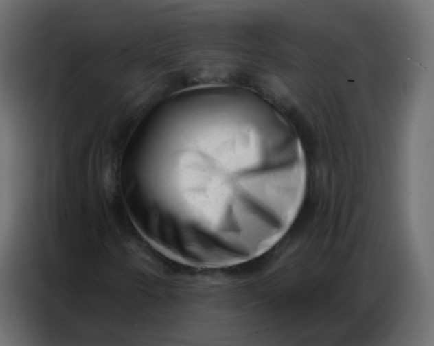 X0000086801250200705041601