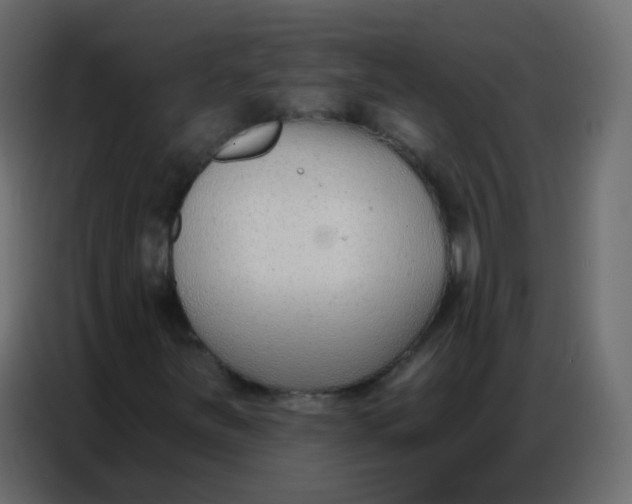 X0000086801251200705041601