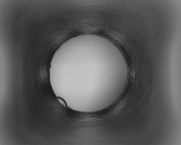 X0000086801252200705041601