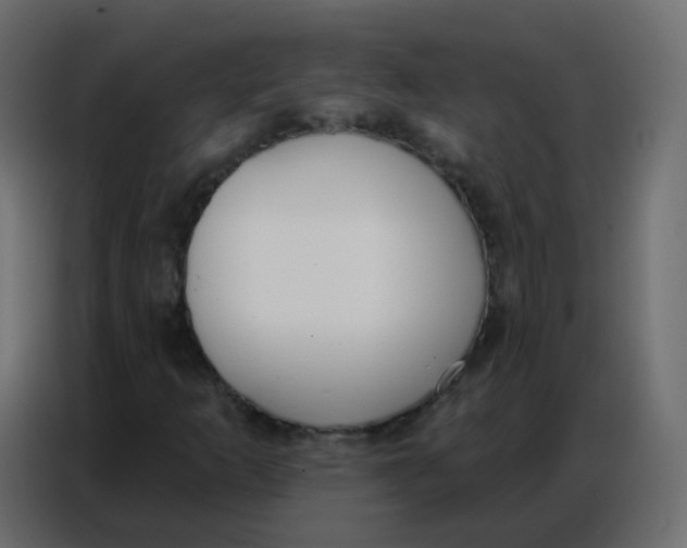 X0000086801253200705041601