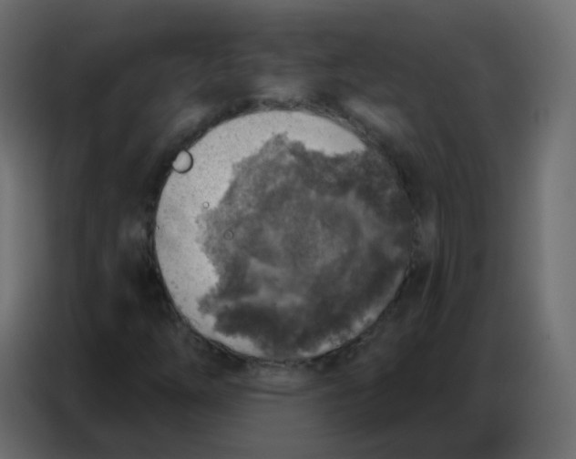 X0000086801254200705041601