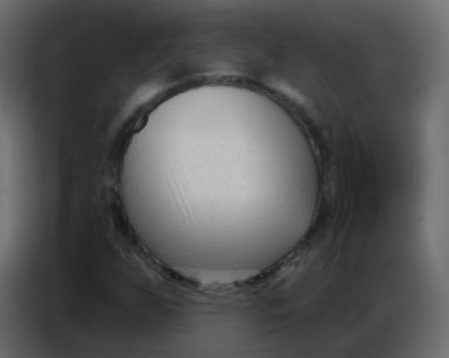 X0000086801255200705041601