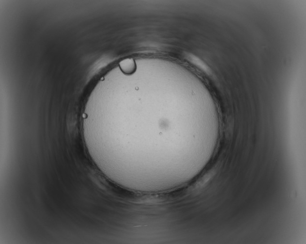 X0000086801259200705041601