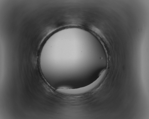 X0000086801260200705041601